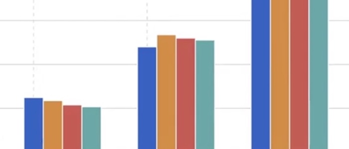 bars in a bar chart